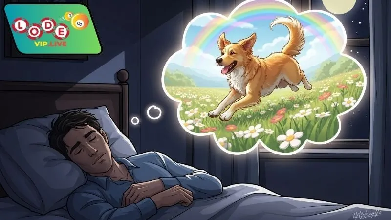 Mơ thấy chó đánh con gì – Giải mã giấc mơ may mắn 4 Bí quyết áp dụng con số mơ thấy chó hiệu quả